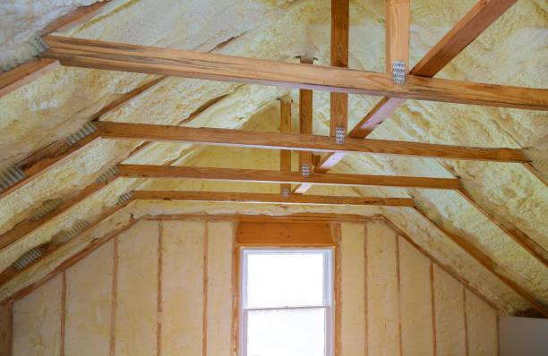 Best Geographic-Specific Insulation Services in Canutillo, TX