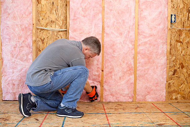 Best Insulation Maintenance and Repair in Canutillo, TX