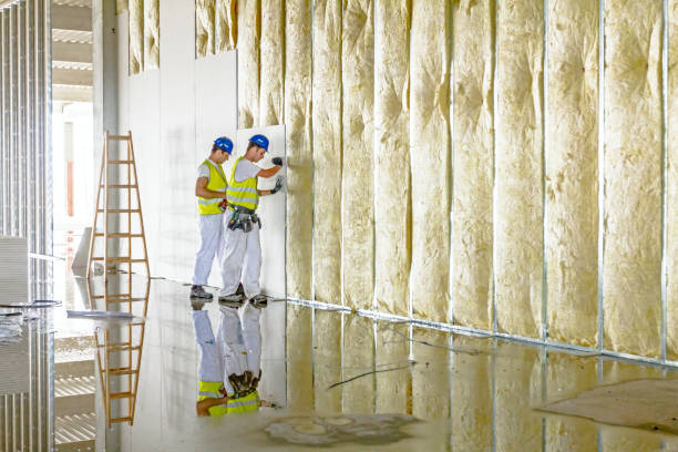 Best Commercial Insulation in Canutillo, TX